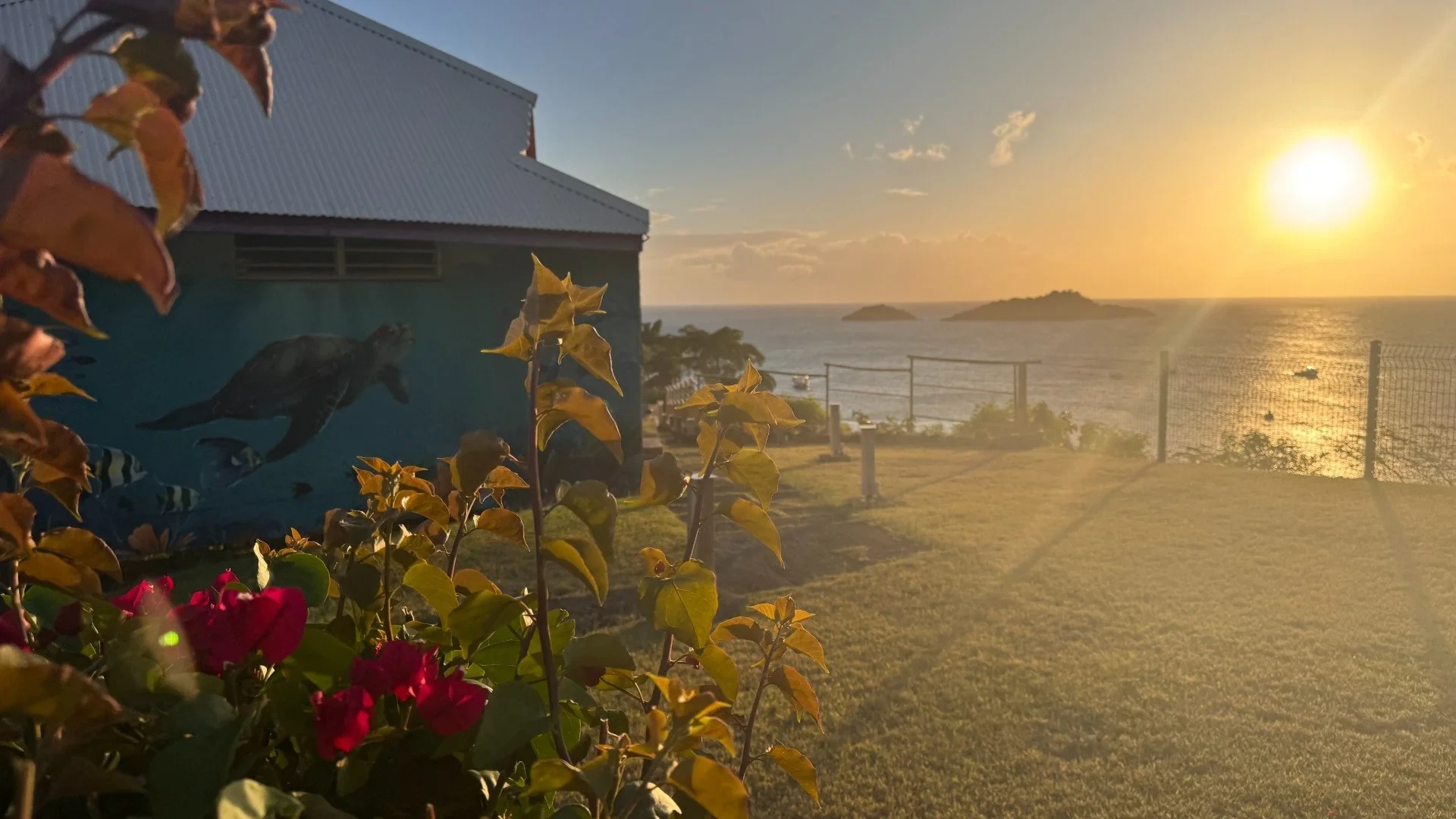 le-jardin-des-ilets-guadeloupe-02